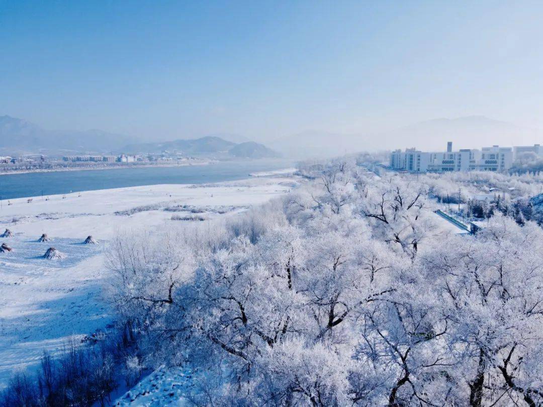 吉林绿色生态之旅🌟🌲