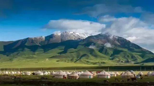 新疆,嘉宾云集,观众热情如火