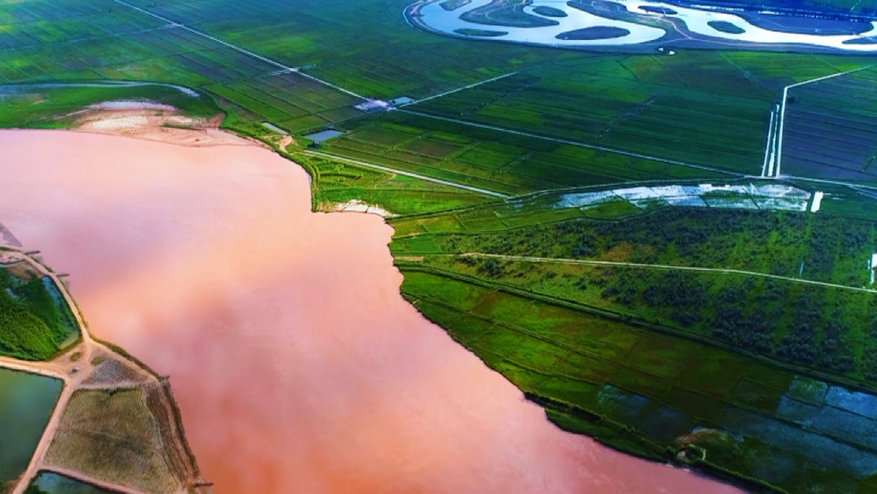 宁夏深巷里的秘密味蕾宝藏