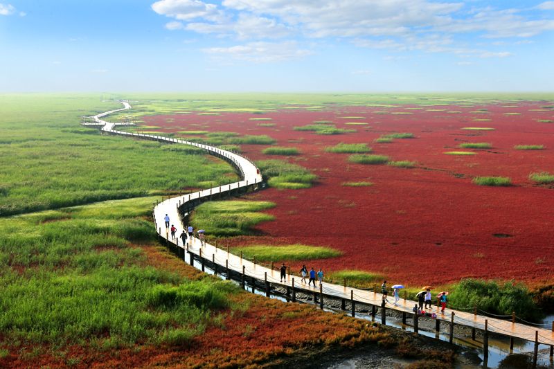 盘锦，亲爱的听众朋友们的故事与声音