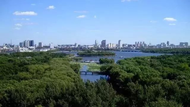 长春的魅力,长春之韵的探寻